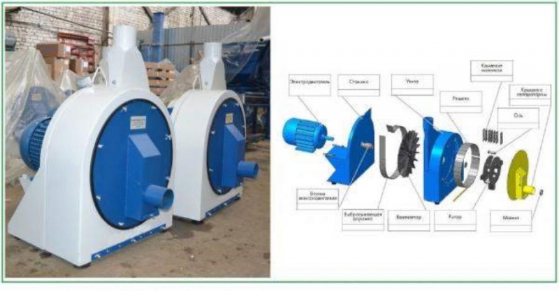 po eaea oa  o OO appCa 