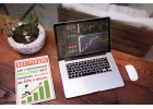 WSB помощник по заработку на форэкс