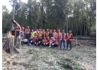 Аренда мульчера и рубильной машины по области